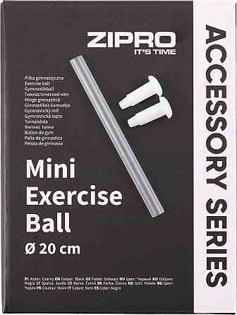 Мяч Zipro Fitness Miniball 20см Киев