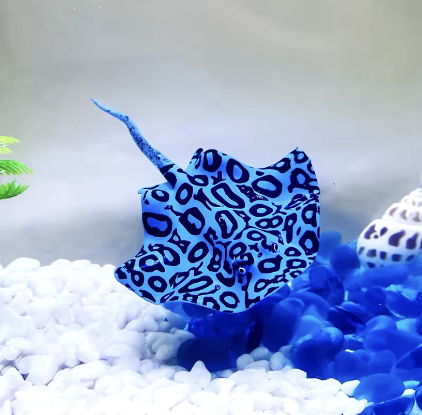 Скат для акваріума штучний силіконовий та люмінесцентний в темноті світяться декор в акваріум розмір 16*9 см синій Київ - фото 2