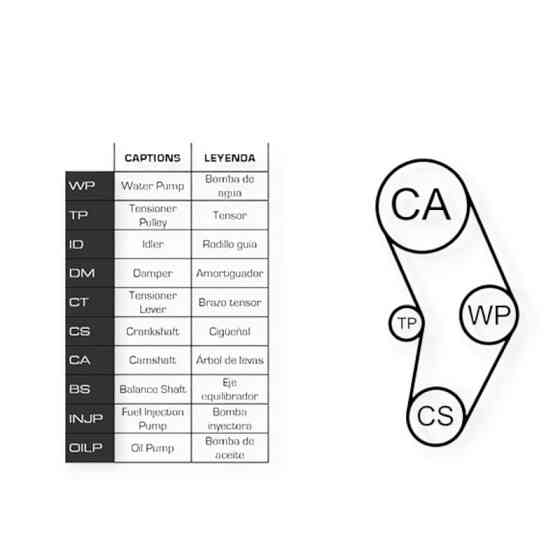 Ремкомплект Fiat Punto, Palio, Lancia 1.2-1.3i 93- (ремінь, ролики, помпа) - ГРМ Мукачево