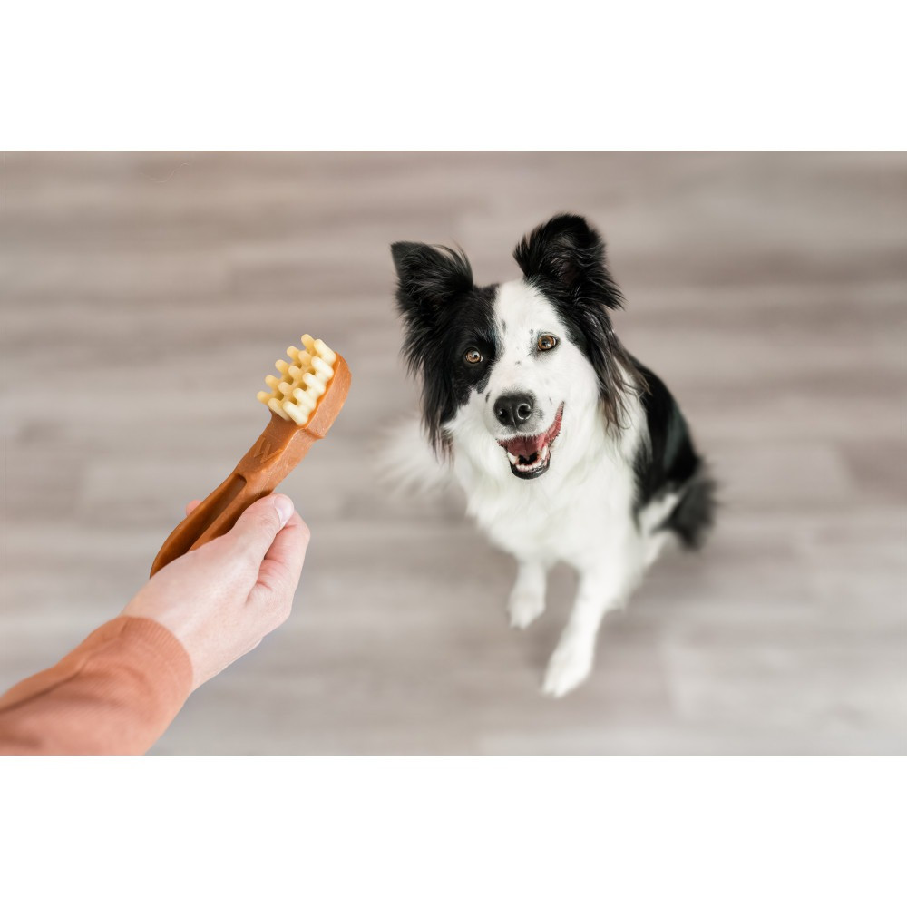 Ласощі Whimzees Toothbrush д/собак у формі зубної щітки M 12 шт Київ - фото 7