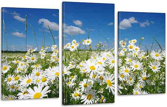 Модульная картина Природа Ромашка Art-47_3 100x150 см Киев