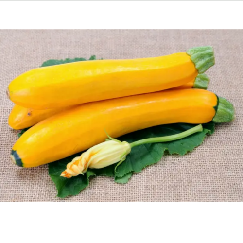 Кабачок Золотинка 3гр Смачний Житомир - изображение 3