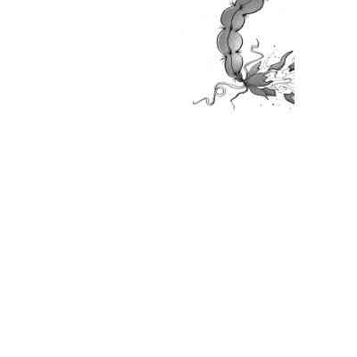 Книга Хлопчик, який марив драконами. Книга 4 - Енді Шеперд Видавництво Старого Лева (9789664481783) Вінниця