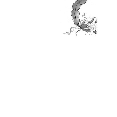 Книга Хлопчик, який марив драконами. Книга 4 - Енді Шеперд Видавництво Старого Лева (9789664481783) Вінниця - фото 6