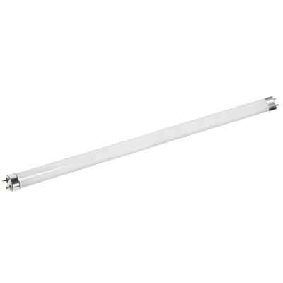 Лампочка Євросвітло T8 Insect G13 20Вт Винница