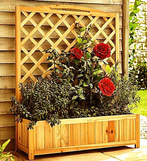 Кашпо со шпалерой 