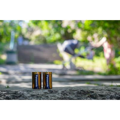 Батарейка Panasonic D LR20 Alkaline Power * 2 (LR20REB/2BP) Винница - изображение 3