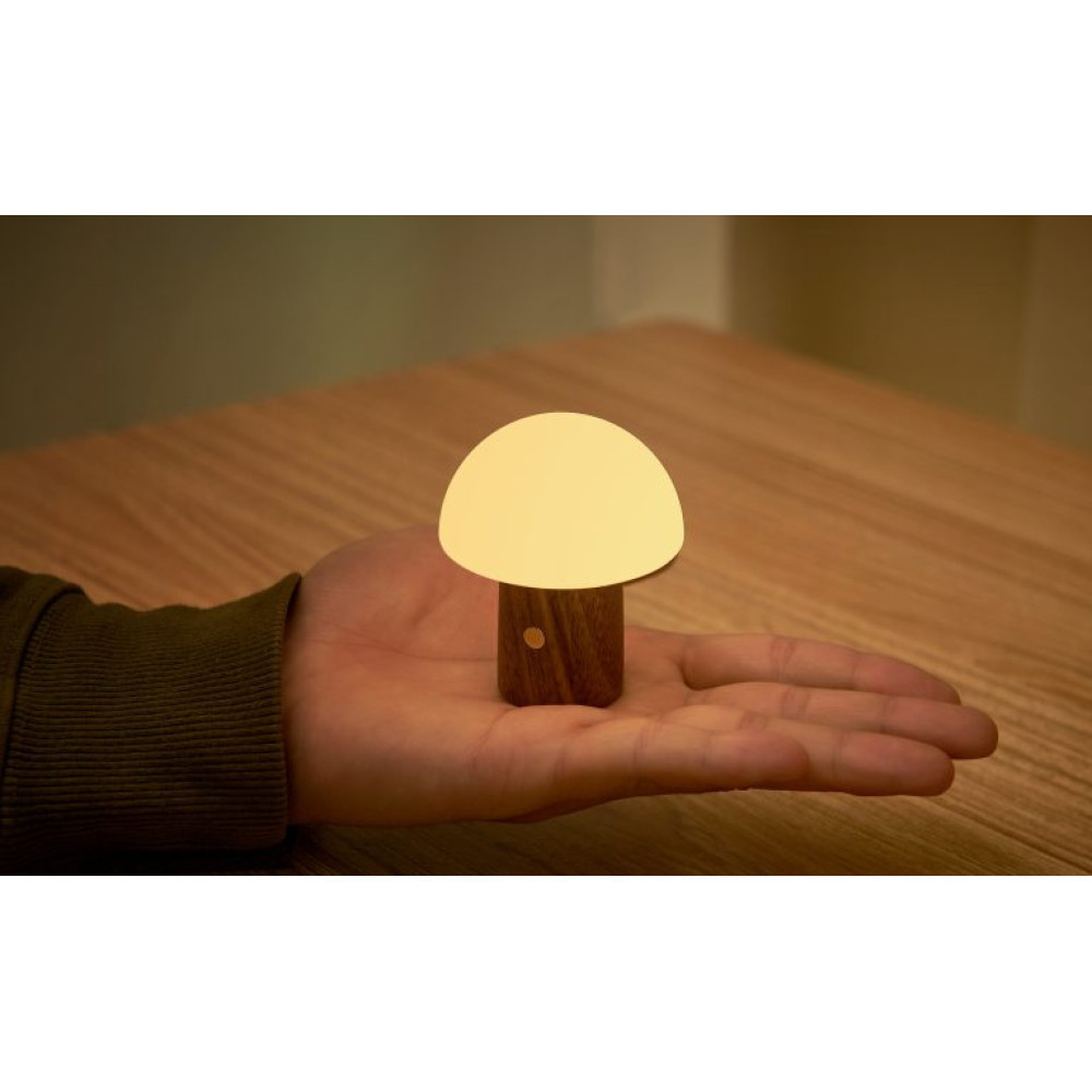 Светильник на аккумуляторе Gingko Alice Mushroom Lamp Super Mini RGB 65 мм (Орех) Киев - изображение 4