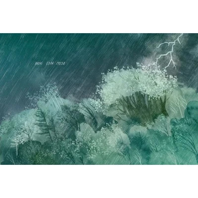 Книга Туконі - мешканець лісу - Оксана Була Видавництво Старого Лева (9786176794929) Винница - изображение 3