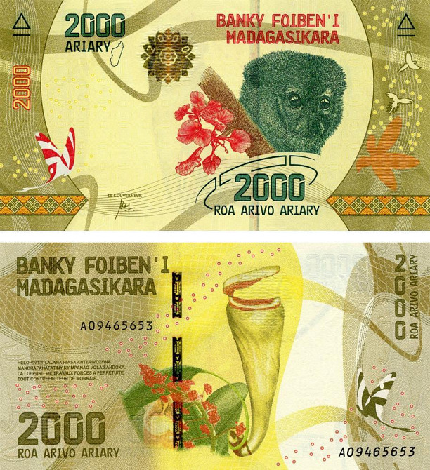 Мадагаскар / Madagascar 2000 Ariary 2017 Pick UNC Полтава - изображение 1