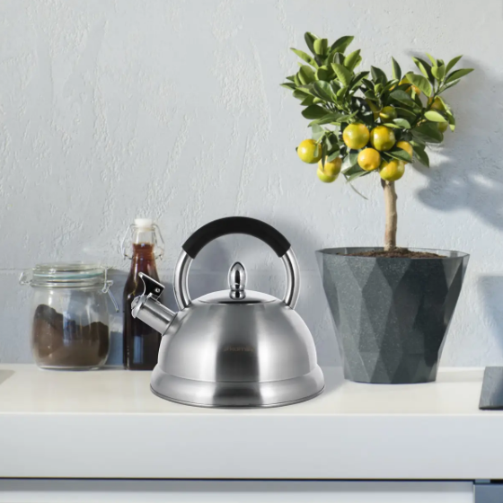 Чайник 2,7л нержавіюча сталь зі свистком з ручкою "soft-touch" 1097 KAMILLE Житомир - фото 6