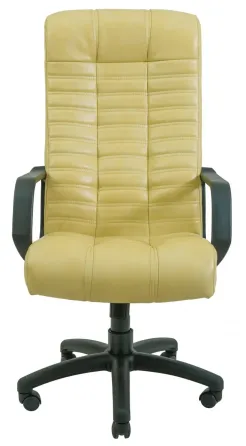 Офісне Крісло Керівника Richman Atlant Titan Vanilla Пластік М2 AnyFix Бежевий Дніпро