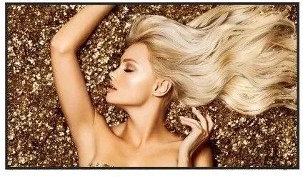 Монитор  Wielkoformatowy Benq Sl-6502K 65