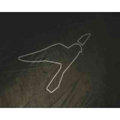 Палатка Easy Camp Setesdal 4 (120478) (931549) Винница