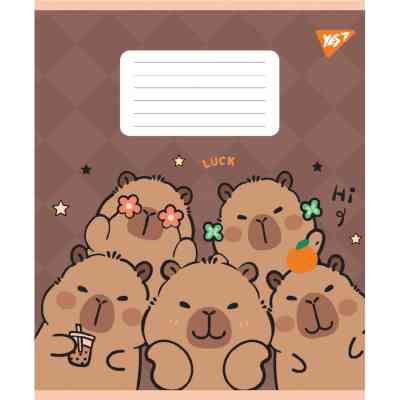 Зошит Yes Capy Tay А5 24 аркушів лінія (767804) Вінниця