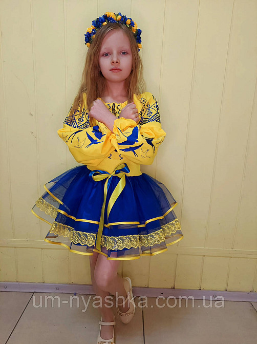 Синьо-жовтий костюм вишиванка "Ластівки-мереживо" Кривий Ріг - фото 9