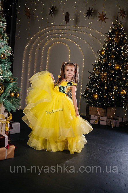 Длинное нарядное платье на 6-7 лет Кривой Рог - изображение 3