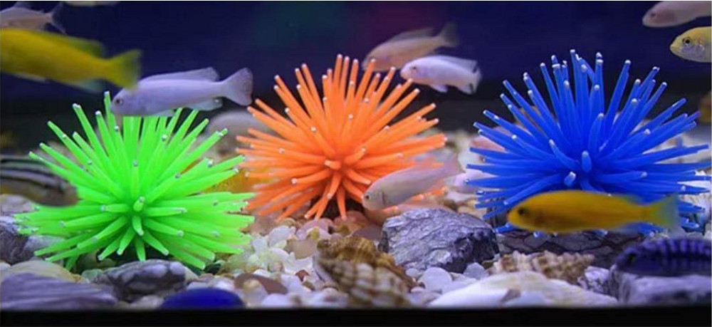 Яскравий декор в акваріум - Морський їжак. Київ - фото 2