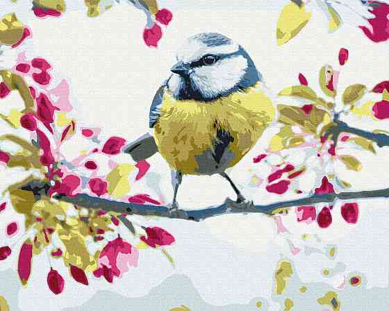 Весняна синичка Київ