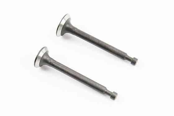 Клапан впускний (h-43,9; D-13,5; d-4), випускний (h-43,9; D-12; d-4) к-кт 139F - 4Т Киев