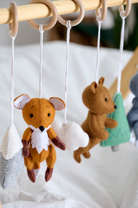 Детский тренажер WoollyFox 