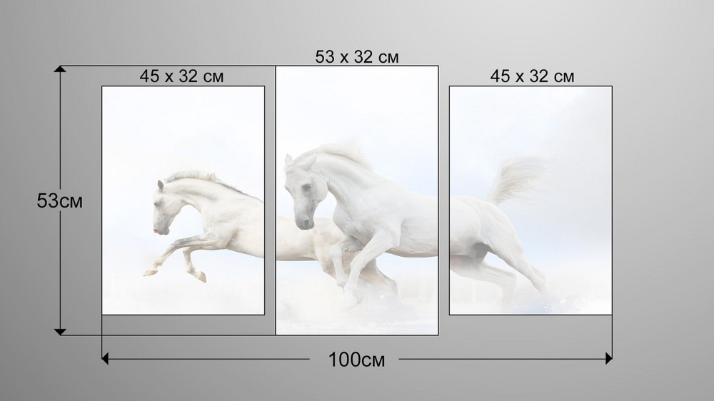 Модульная картина Лошади Art-129_3 Киев - изображение 3