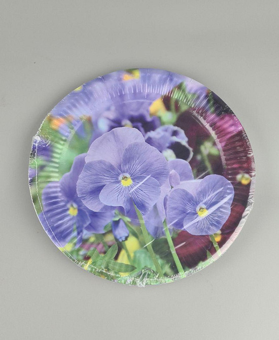 Тарілка паперова 23 см "No62 10 шт (1 пачка) Харків - фото 2