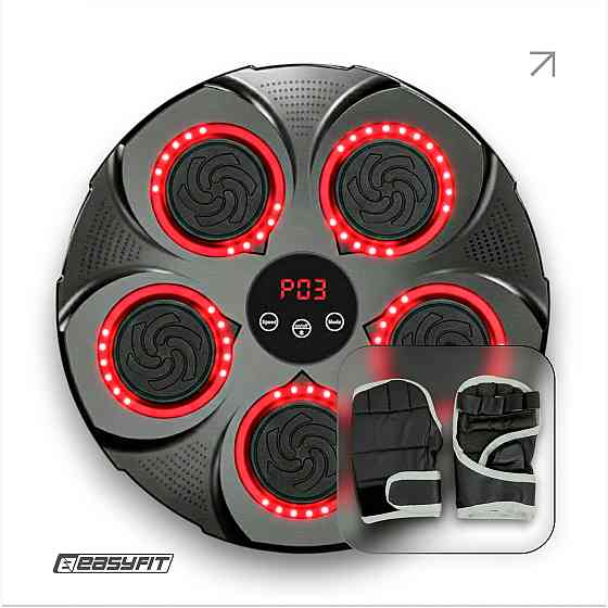 Боксерський тренажер EasyFit настінний музичний з підсвіткою Коломыя