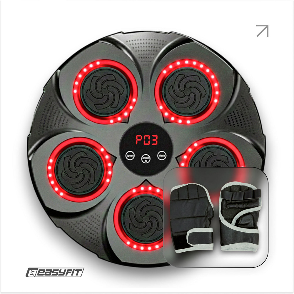 Боксерський тренажер EasyFit настінний музичний з підсвіткою Коломыя - изображение 1