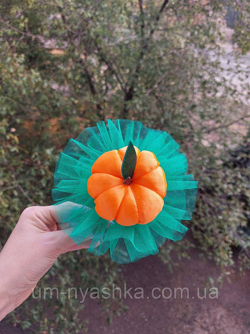 Обідок Гарбузика Гарбуз Кривий Ріг - фото 2