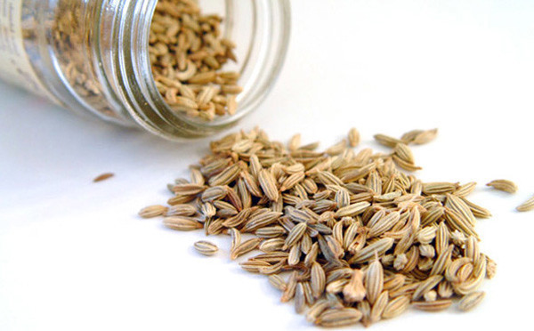 Фенхель целиком (семена), 500г. MasterSEM Киев - изображение 1