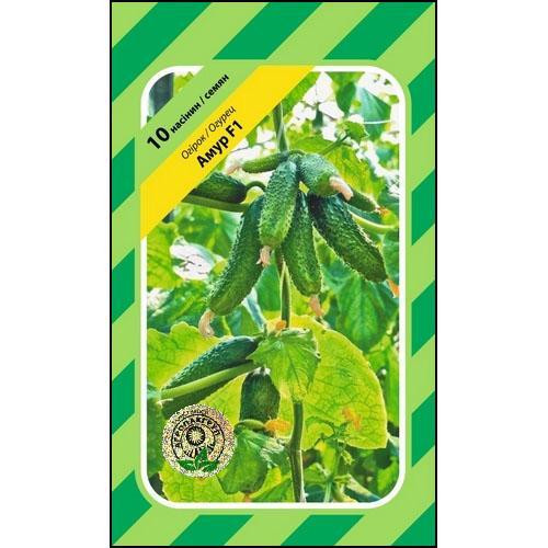 Семена огурцов Амур F1 10 сем., Bejo Zaden, Голландия Винница - изображение 1