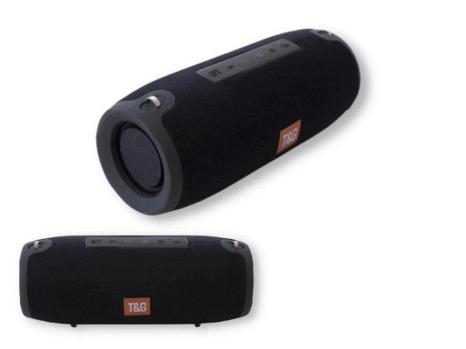Колонка портативна T&G TG-118 15Вт USB, AUX, FM, Bluetooth (18) Київ - фото 1