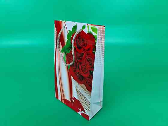 Паперовий пакет подарунковий Середній 17/26/8 (артSV-059) (12 шт.) Харків