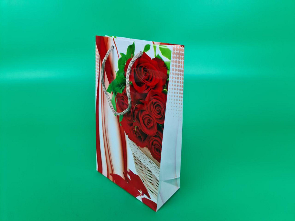 Бумажный пакет подарочный Средний 17/26/8 (артSV-059) (12 шт) Харьков - изображение 1