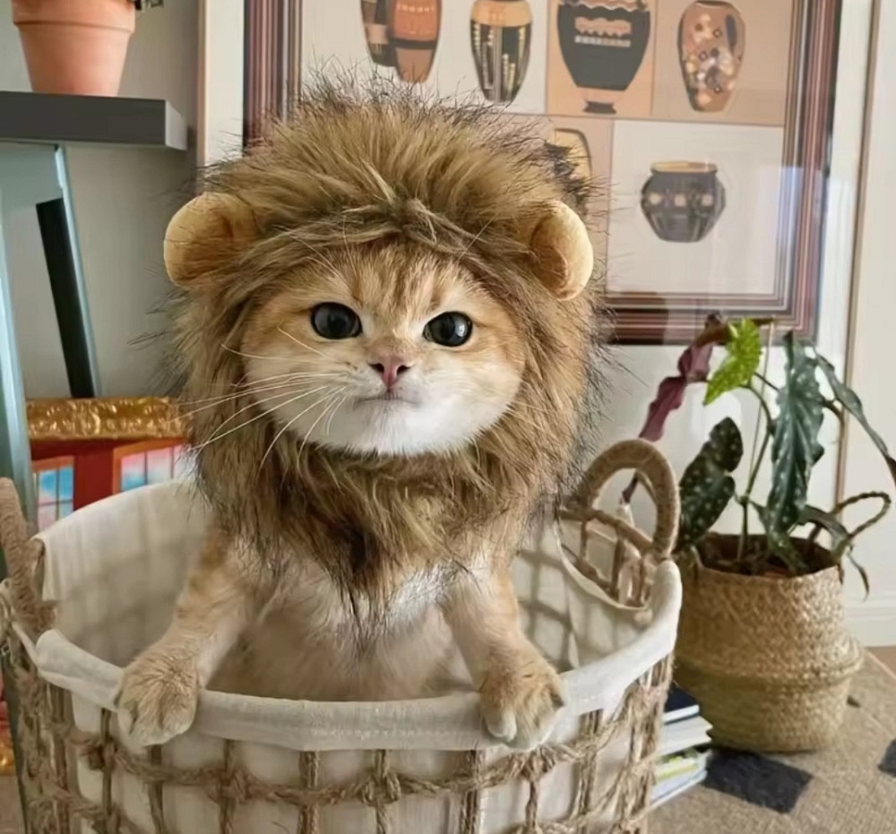 Шапочка для домашніх тварин Лев S коричневий Київ - фото 3