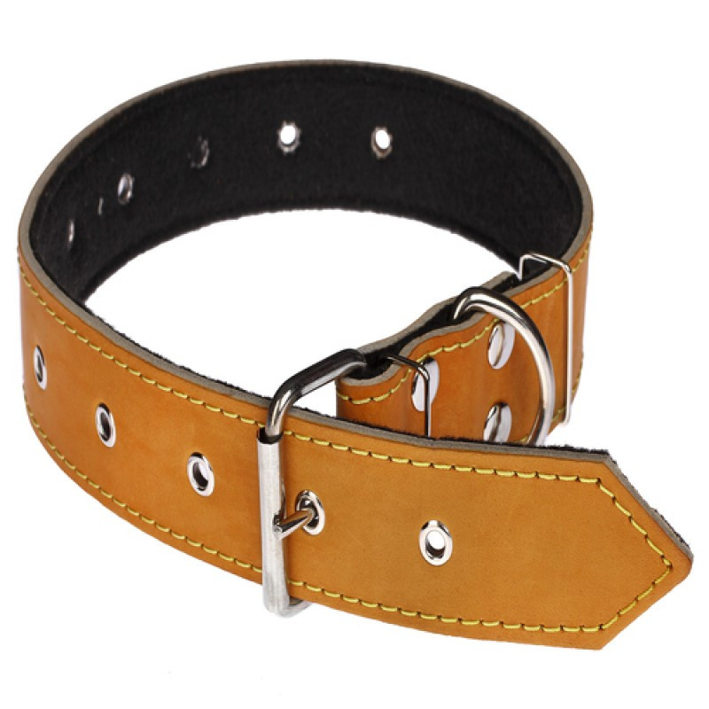 Нашийник 618 40 мм "Класик" шкіра+синтепон безрозмірний Вінниця - фото 1