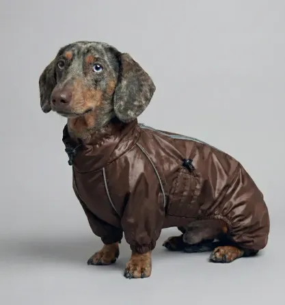 Дощовик для такси комбінезон Dogs Bomba водовідштовхувальний осінь на блискавці з утяжками шоколад 4 Одеса