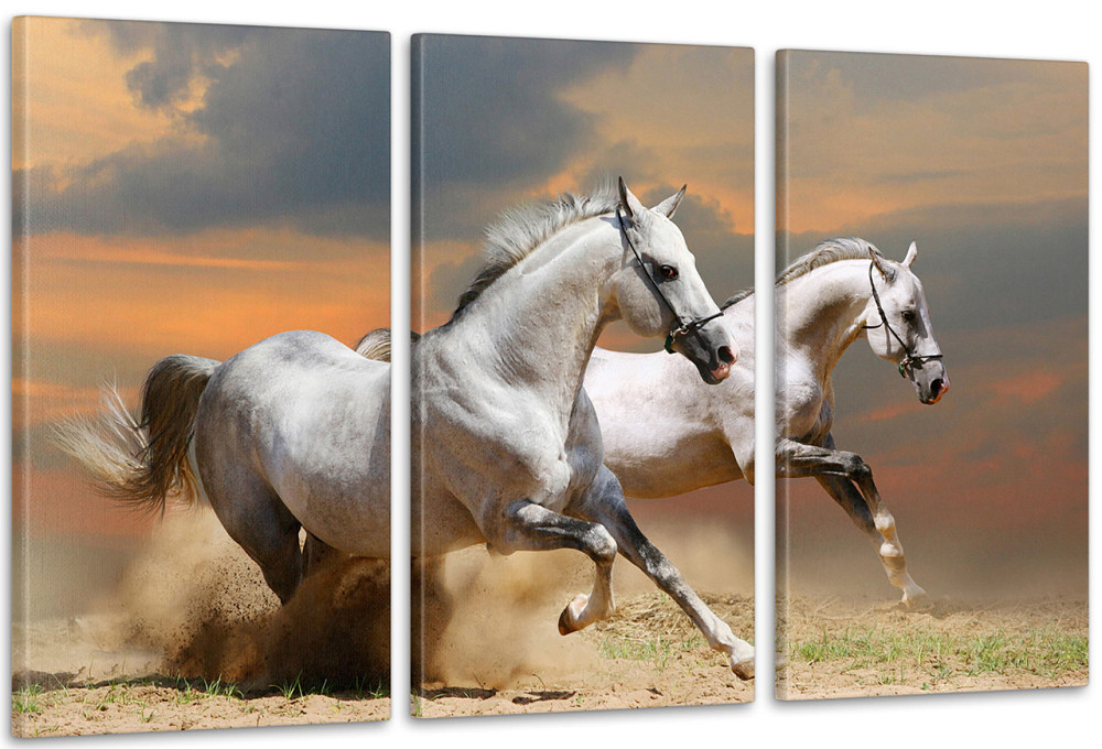 Модульна картина Природа Коні Аrt-81_3А Київ - фото 1