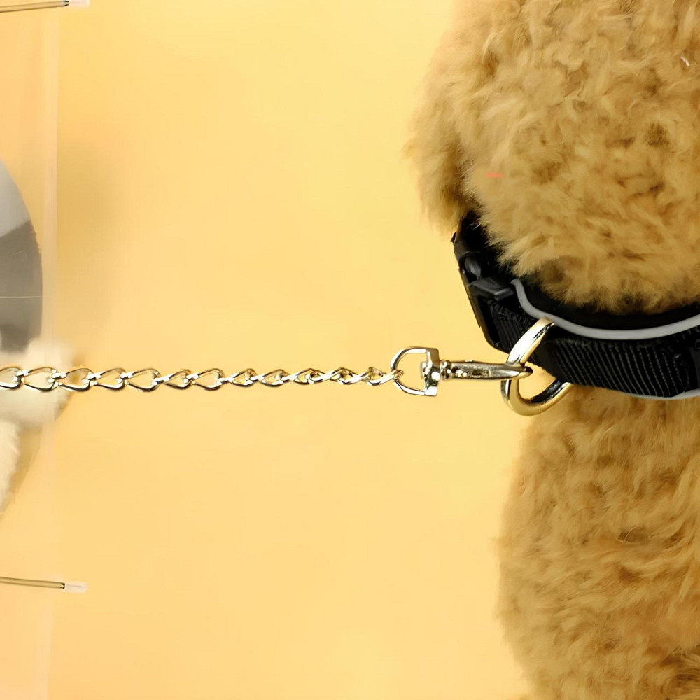 Парасолька для собаки RESTEQ з ланцюгом - зручний і надійний захист вихованця від дощу та сонця на прогулянках Київ - фото 4