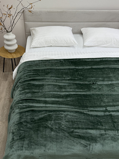 Ecotton Плед Ecotton 150х220 см Well Soft пудровий зелений (17-0112 Matte green) Коломыя - изображение 3