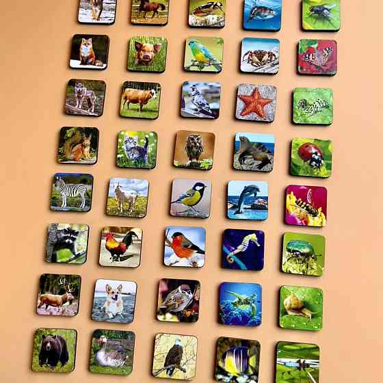 Настольная развивающая игра 