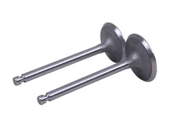 Клапани на дизельний двигун 192D, к-т: 2 шт. Мукачево