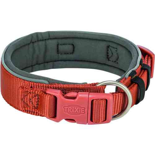 Нашийник Trixie Premium для собак екстраширокий M–L 40–48 см 40 мм рижо-графітовий Київ