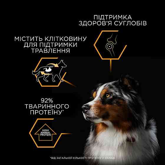 Влажный корм PRO PLAN Adult для взрослых собак, кусочки в желе, с индейкой, 400 г Киев