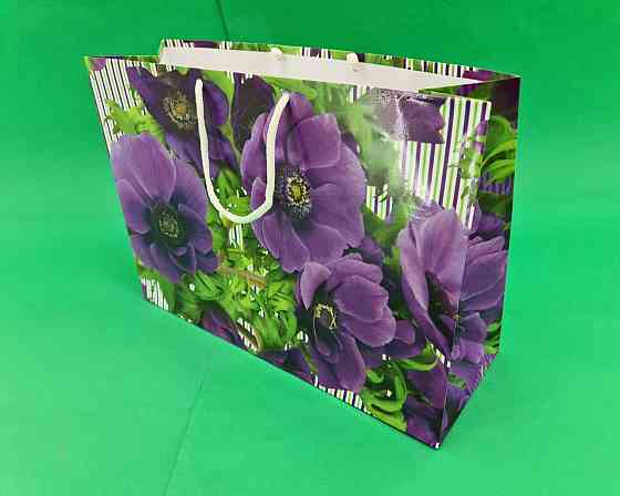 Паперовий великий горизонтальний пакет 36/22/10 (артBG-110) (12 шт.) Харків