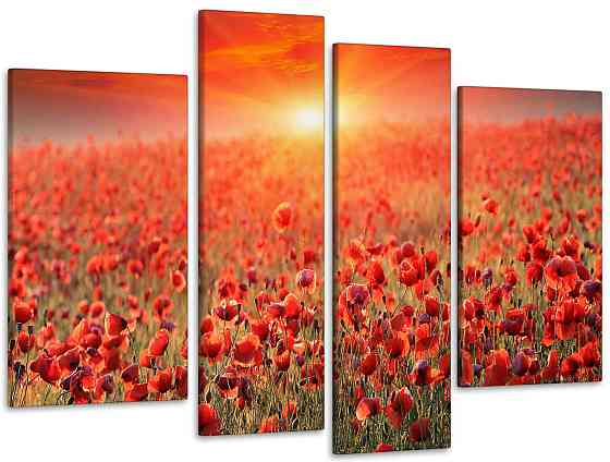 Модульна картина Маки в Полі Art-48_4 Київ