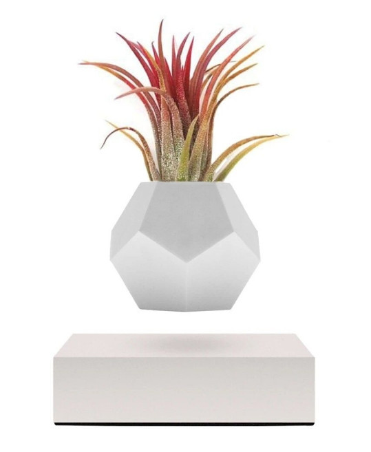 Левитирующий вазон Planter Lyfe Парящий вазон (Белый) Винница - изображение 2