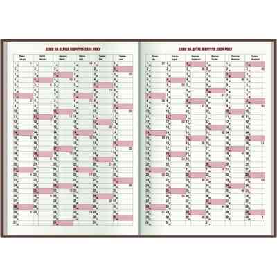 Тижневик Economix датований 2024 SATIN коричневий, А5 (E21612-07) Вінниця