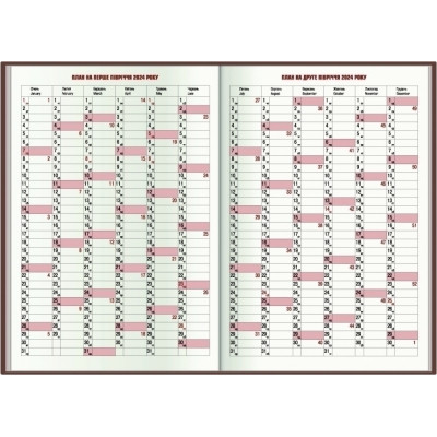 Еженедельник Economix датированный 2024 SATIN коричневый, А5 (E21612-07) Винница - изображение 3